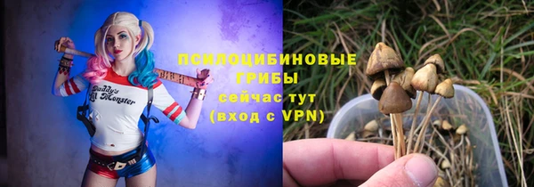 прущие грибы Алексин