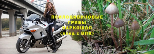 прущие грибы Алексин