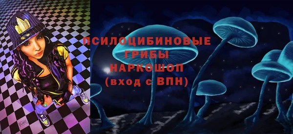 спайс Алексеевка