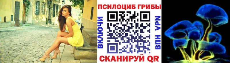 Галлюциногенные грибы Psilocybine cubensis  Новоульяновск 