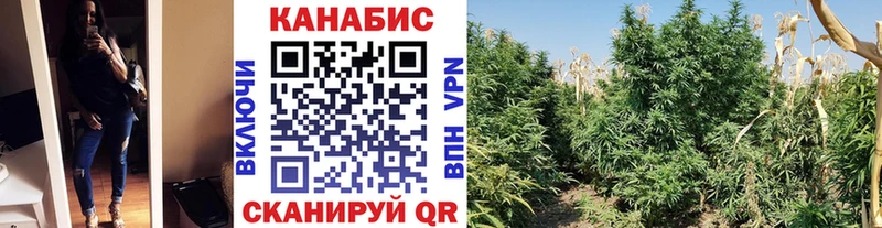 Бошки Шишки SATIVA & INDICA  Новоульяновск 